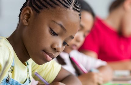 What Is An Education Franchise?