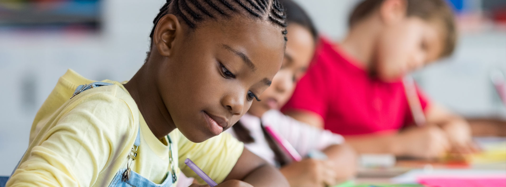 What Is An Education Franchise?